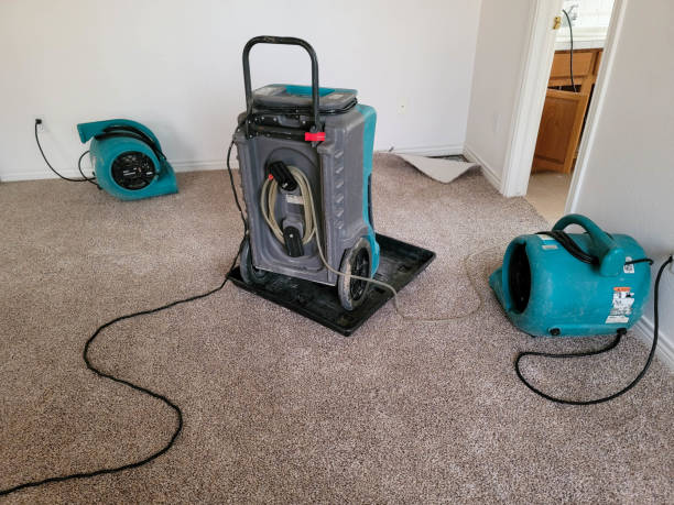 Best Fire Damage Restoration  in Plattsburg, MO