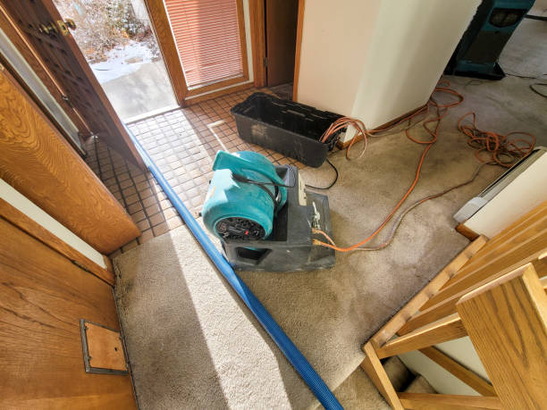  Plattsburg, MO Water damage restoration Pros