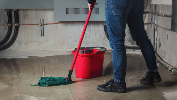 Best Emergency water damage restoration  in Plattsburg, MO