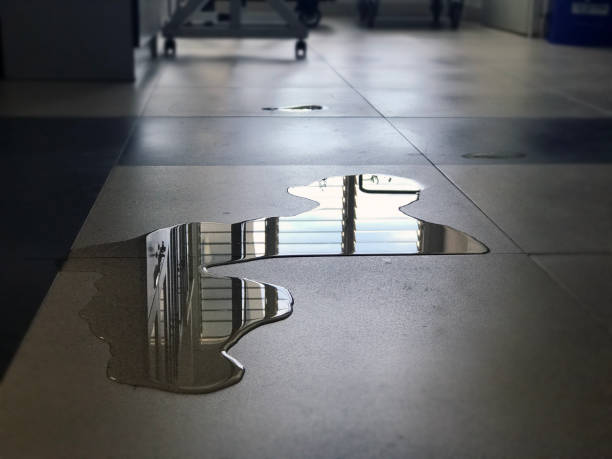 Best Water damage restoration near me  in Plattsburg, MO