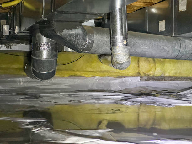 Best Water damage contractors near me  in Plattsburg, MO