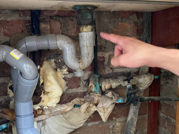 Best Commercial water damage restoration  in Plattsburg, MO
